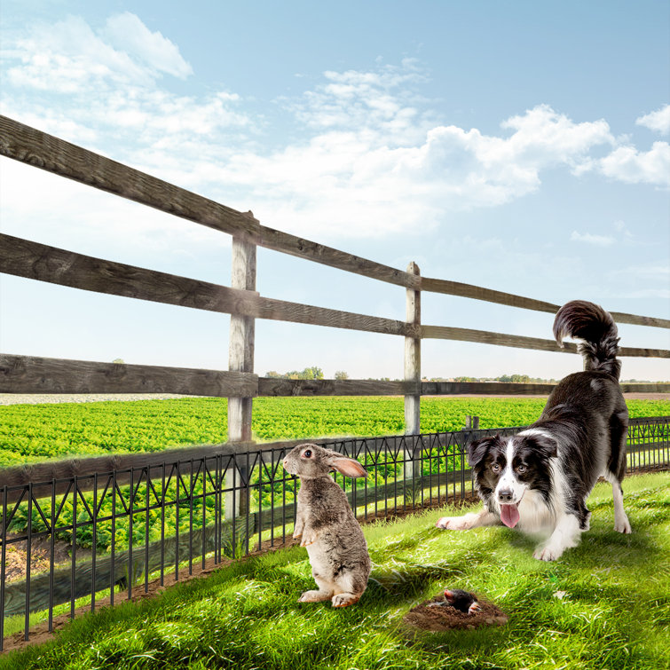 Anti dig dog discount fence